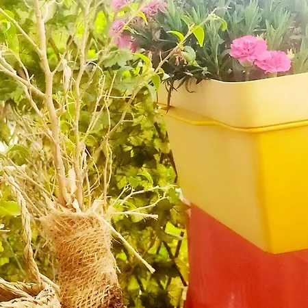 Chez Michel & Jenny 100m2 Parking Gratuit Apartman Perpignan