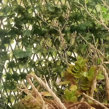 Chez Michel & Jenny 100m2 Parking Gratuit