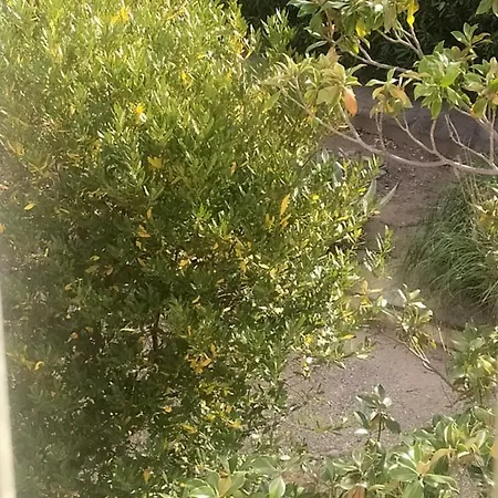 Chez Michel & Jenny 100m2 Parking Gratuit Perpignan