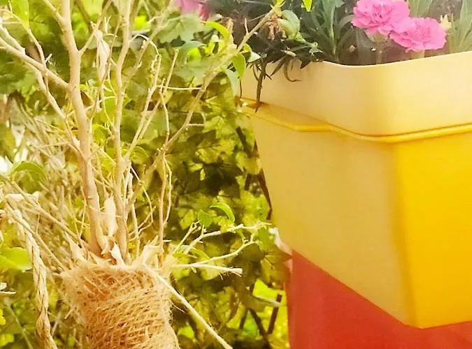 Chez Michel & Jenny 100m2 Parking Gratuit Apartment Perpignan