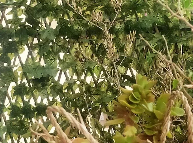 Chez Michel&jenny 100m2 Parking Gratuit