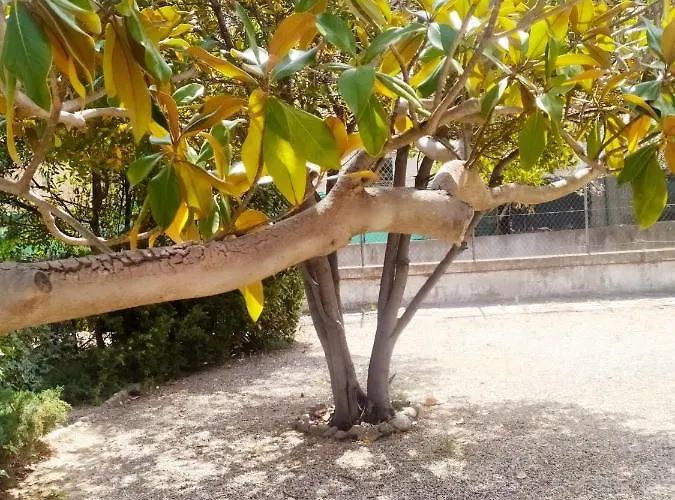 Chez Michel&jenny 100m2 Parking Gratuit Appartement