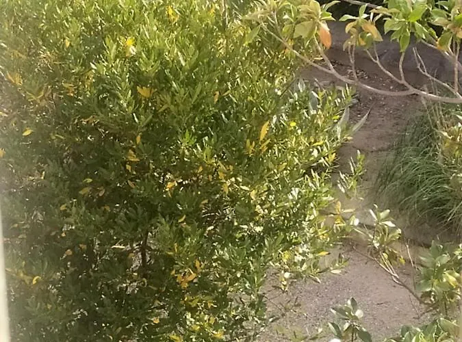 Chez Michel & Jenny 100m2 Parking Gratuit Perpignan