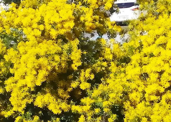 Chez Michel&jenny 100m2 Parking Gratuit Perpignan